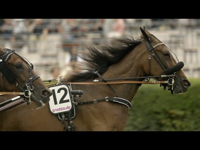 Traber Derby 2024 - Spielbank Berlin